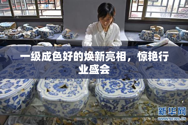 一级成色好的焕新亮相，惊艳行业盛会