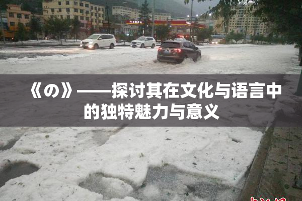 《の》——探讨其在文化与语言中的独特魅力与意义