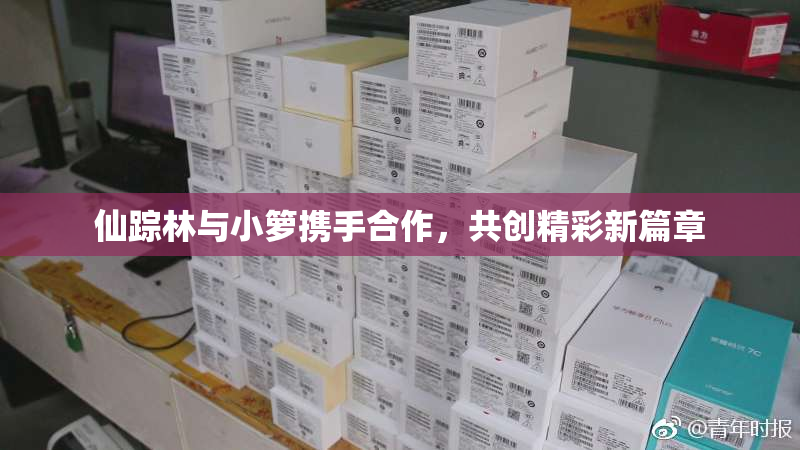 仙踪林与小箩携手合作，共创精彩新篇章