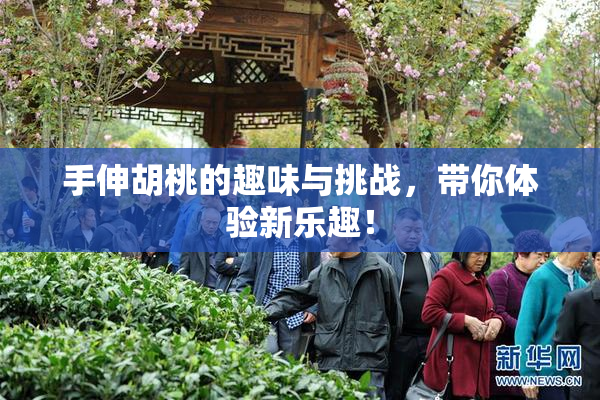 手伸胡桃的趣味与挑战，带你体验新乐趣！