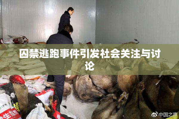 囚禁逃跑事件引发社会关注与讨论
