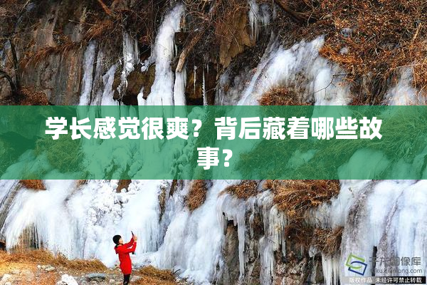 学长感觉很爽？背后藏着哪些故事？
