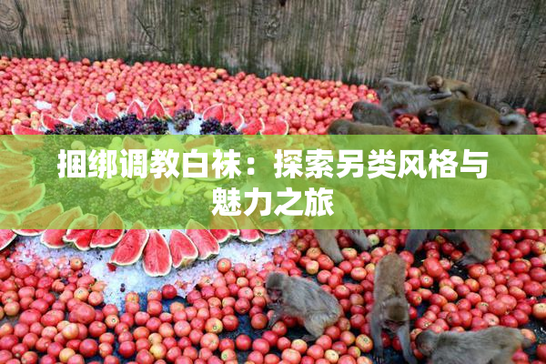 捆绑调教白袜：探索另类风格与魅力之旅