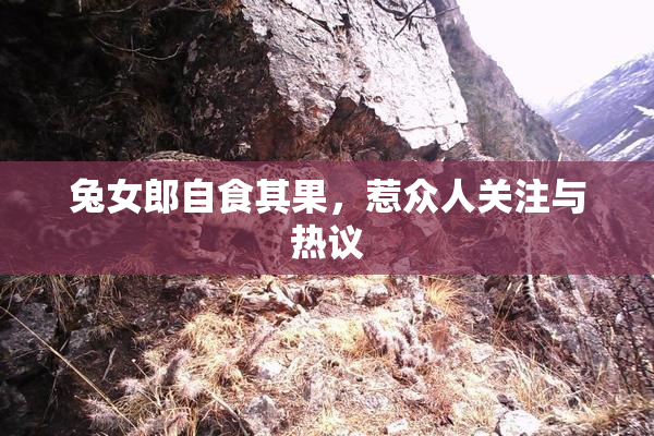 兔女郎自食其果，惹众人关注与热议