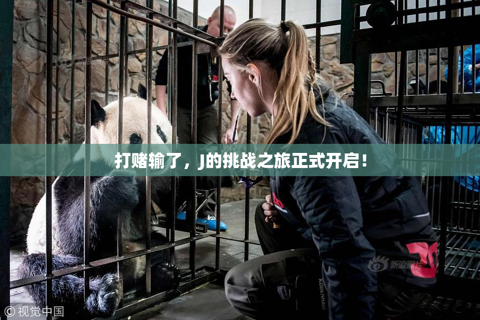 打赌输了，J的挑战之旅正式开启！