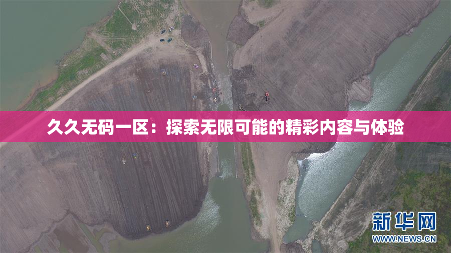 久久无码一区：探索无限可能的精彩内容与体验