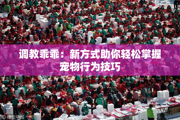调教乖乖：新方式助你轻松掌握宠物行为技巧