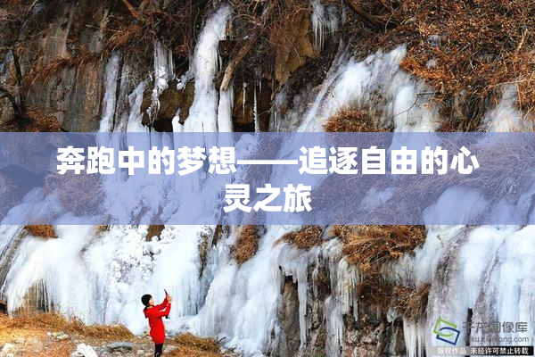 奔跑中的梦想——追逐自由的心灵之旅