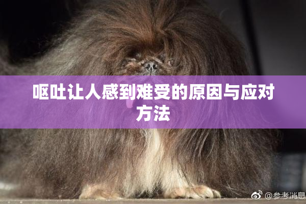 呕吐让人感到难受的原因与应对方法