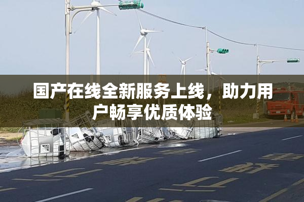 国产在线全新服务上线，助力用户畅享优质体验