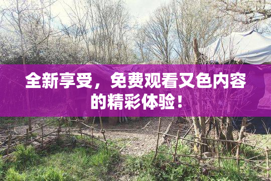 全新享受，免费观看又色内容的精彩体验！