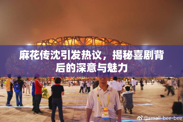 麻花传沈引发热议，揭秘喜剧背后的深意与魅力