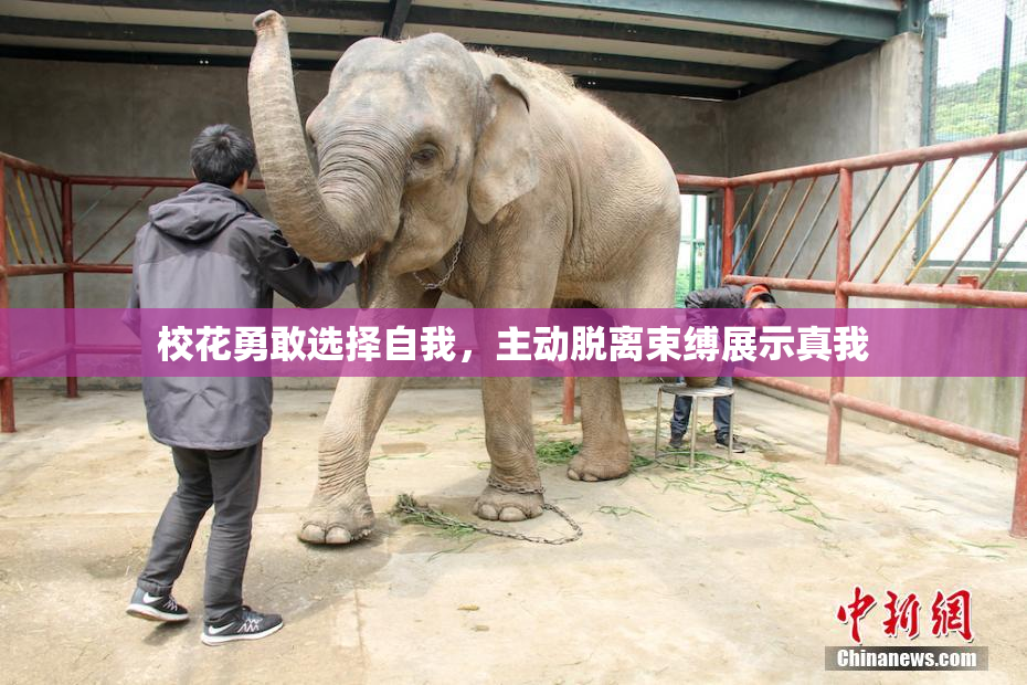 校花勇敢选择自我，主动脱离束缚展示真我