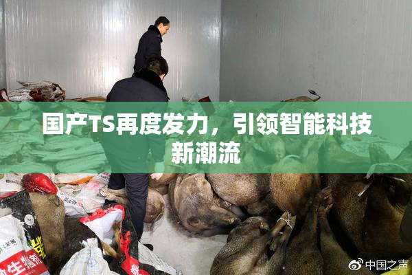 国产TS再度发力，引领智能科技新潮流