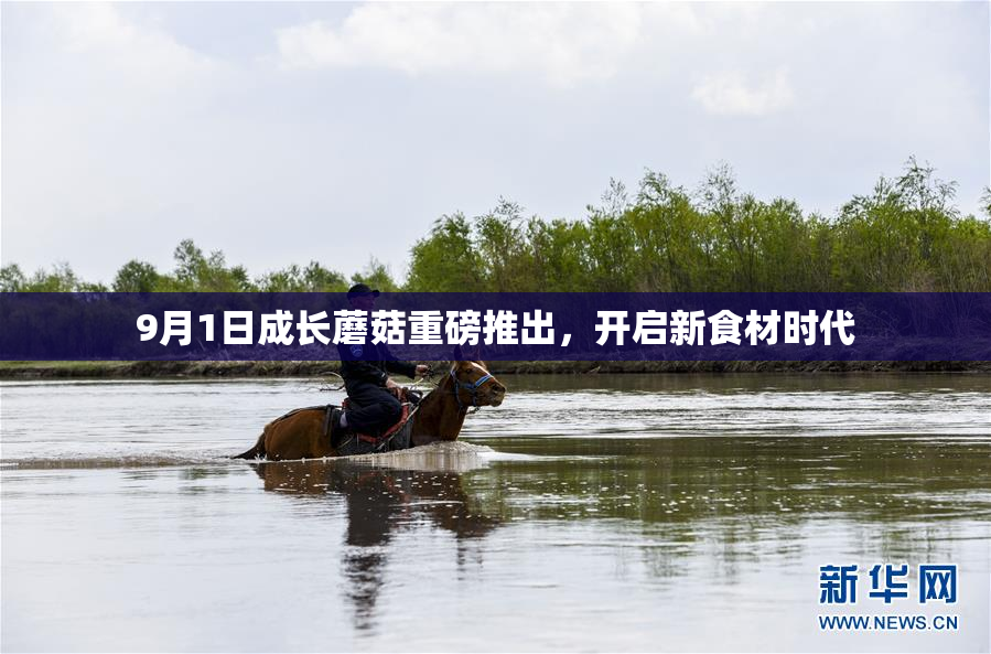 9月1日成长蘑菇重磅推出，开启新食材时代