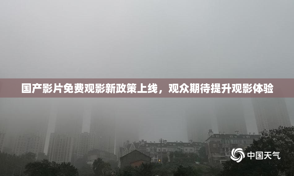 国产影片免费观影新政策上线，观众期待提升观影体验