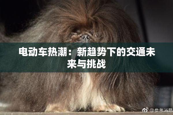 电动车热潮：新趋势下的交通未来与挑战