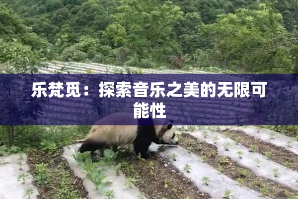 乐梵觅：探索音乐之美的无限可能性
