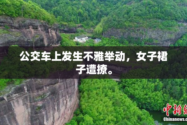 公交车上发生不雅举动，女子裙子遭撩。