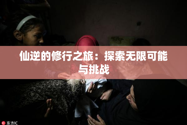 仙逆的修行之旅：探索无限可能与挑战