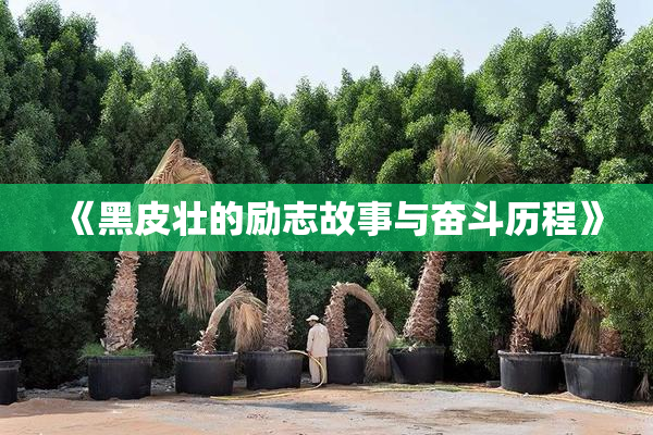 《黑皮壮的励志故事与奋斗历程》