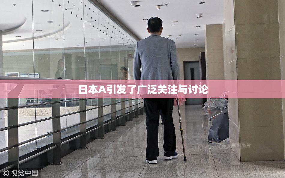 日本A引发了广泛关注与讨论