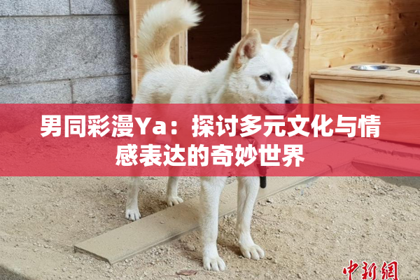 男同彩漫Ya：探讨多元文化与情感表达的奇妙世界