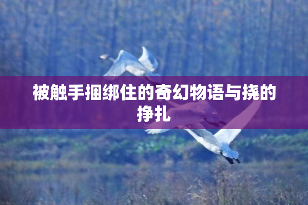 被触手捆绑住的奇幻物语与挠的挣扎