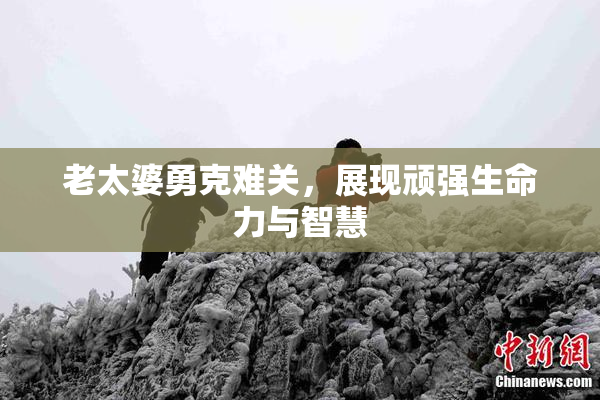 老太婆勇克难关，展现顽强生命力与智慧