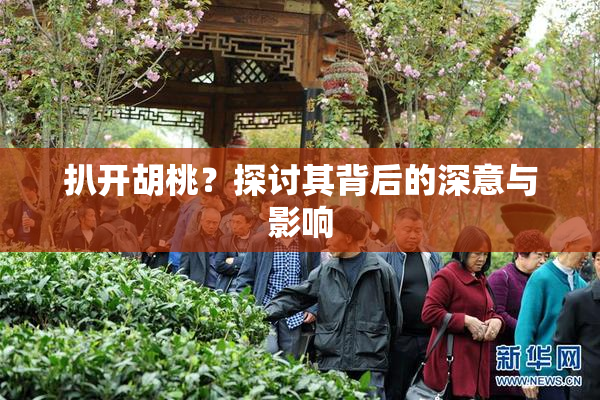 扒开胡桃？探讨其背后的深意与影响