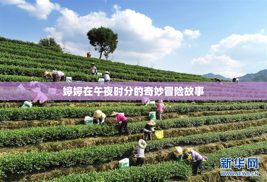 婷婷在午夜时分的奇妙冒险故事