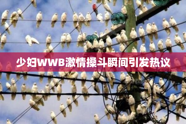 少妇WWB激情搡斗瞬间引发热议