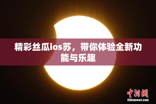 精彩丝瓜ios苏，带你体验全新功能与乐趣