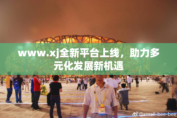 www.xj全新平台上线，助力多元化发展新机遇