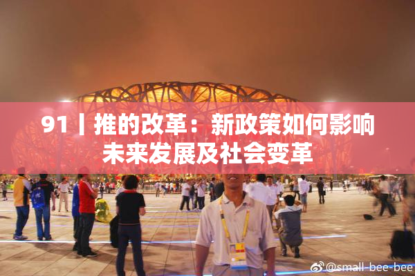 91丨推的改革：新政策如何影响未来发展及社会变革
