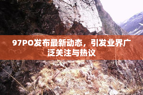 97PO发布最新动态，引发业界广泛关注与热议