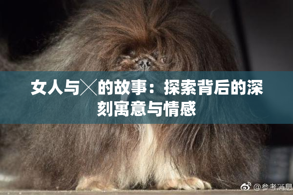 女人与╳的故事：探索背后的深刻寓意与情感