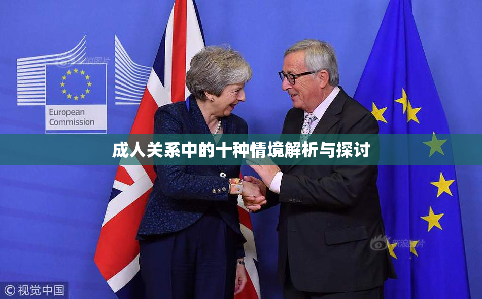 成人关系中的十种情境解析与探讨