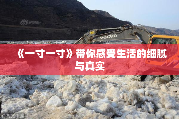 《一寸一寸》带你感受生活的细腻与真实