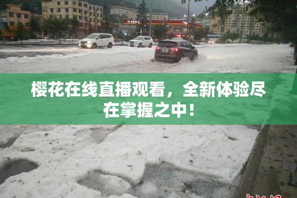 樱花在线直播观看，全新体验尽在掌握之中！