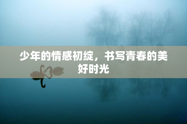 少年的情感初绽，书写青春的美好时光