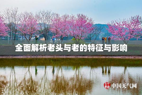 全面解析老头与老的特征与影响