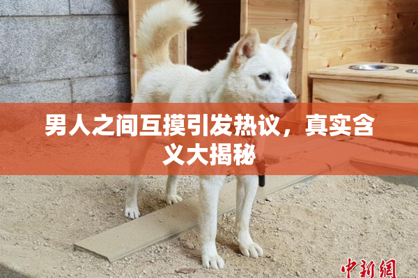男人之间互摸引发热议，真实含义大揭秘