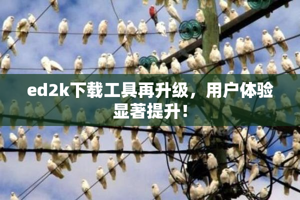 ed2k下载工具再升级，用户体验显著提升！