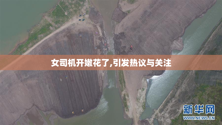女司机开嫩花了,引发热议与关注