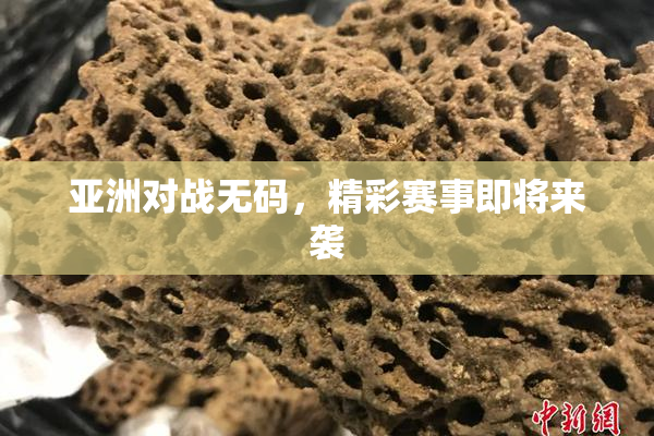 亚洲对战无码，精彩赛事即将来袭