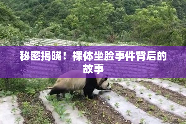 秘密揭晓！裸体坐脸事件背后的故事