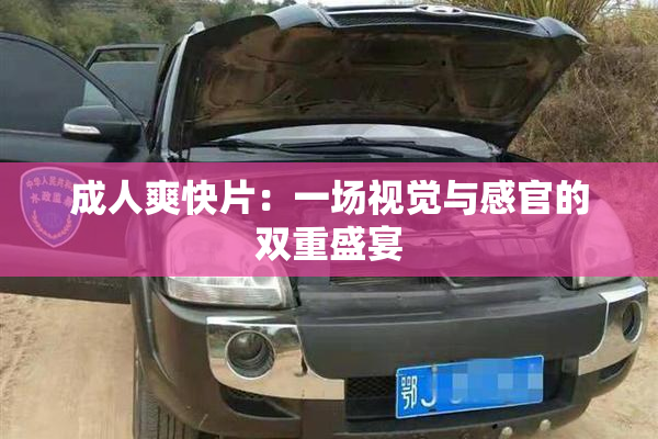 成人爽快片：一场视觉与感官的双重盛宴