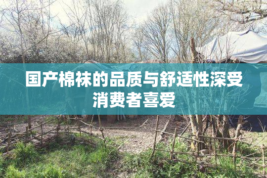 国产棉袜的品质与舒适性深受消费者喜爱