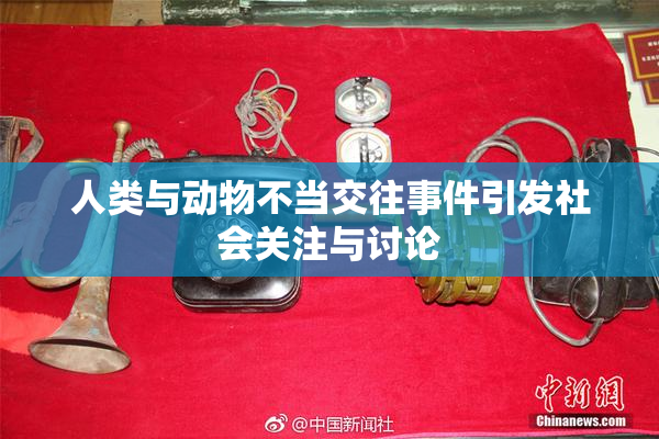 人类与动物不当交往事件引发社会关注与讨论